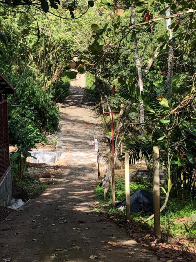 Casa Encantada Offers You Two-Bedroom House, 1 Tiny Apartment & 3 Double Rooms Nationalpark Nationalpark Manuel Antonio Exterior foto