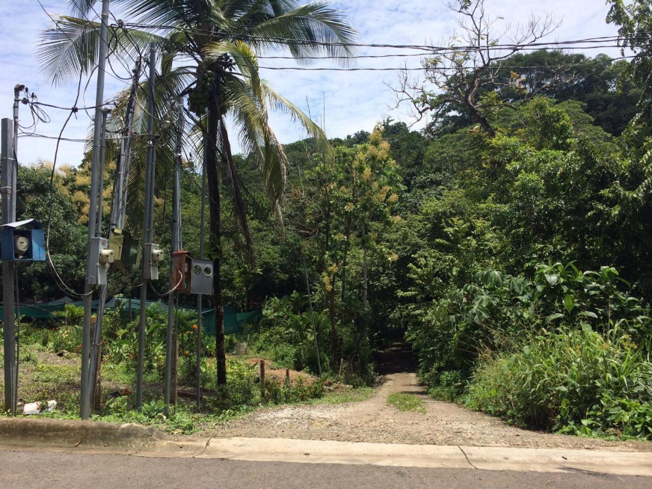 Casa Encantada Offers You Two-Bedroom House, 1 Tiny Apartment & 3 Double Rooms Nationalpark Nationalpark Manuel Antonio Exterior foto